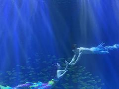 -华夏文旅海洋公园