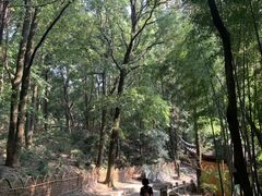 -灵岩山风景区
