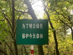 -紫金山山顶公园
