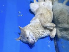 -大连圣亚海洋世界