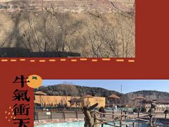 -沈阳森林动物园
