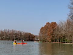 -上海海湾国家森林公园