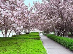 -唐山抗震纪念碑广场