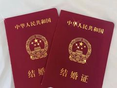 -王丽律师团队·专注婚姻家事(黄浦店)