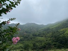 -东天目山风景区