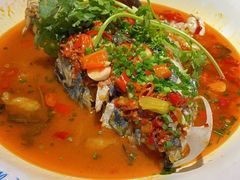 -坛宗剁椒鱼头(河西王府井店)