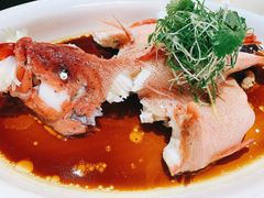 东星斑-德胜轩正宗顺德菜(宝安沙井会展中心店)