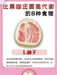 -Fundi张玉珊修身堂·indiba·BTL科技瘦身