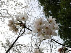 -白马涧龙池景区