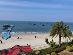 -广东惠东海龟国家级自然保护区