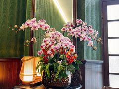 -上海老站(徐家汇店)