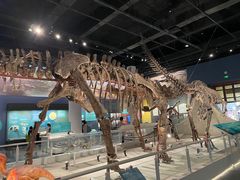 -国家自然博物馆