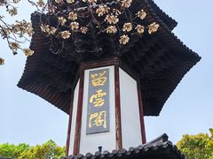 -上海佘山国家森林公园天马山园