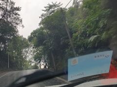 -佛山市三水区大南山森林公园