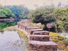 -花溪公园