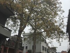 -伦教678文化街