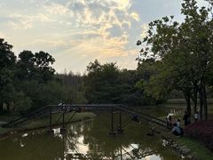 -森波拉奇妙世界