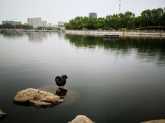 -长春世界雕塑园冰雪艺术天地