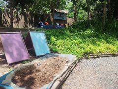 -大象粑粑造纸公园