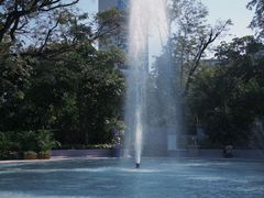 -九龙公园