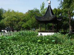 -陈家山荷花公园