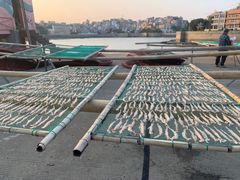 -东沙渔村