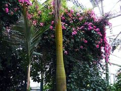 景点-祥源·阜阳生态乐园