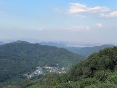 -龙井村