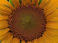 -长春公园(普阳街道)