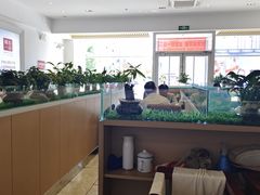 -嘉和一品粥(津华昌道店)