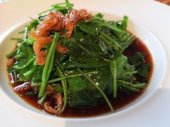 樱花虾橄榄苗-品悦酒店(三林古镇店)