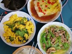 -田螺阿姨自营月嫂·育儿嫂(高新店)