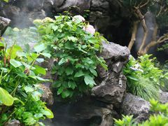 -豫园