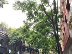 -静安区体育馆
