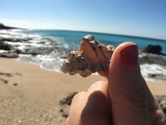 -白沙湾海滩