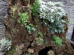 -太元彭家正汤(太元路总店)