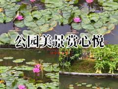 -云溪植物园