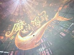 -海合安武汉极地海洋公园