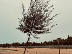 -白沙门生态公园