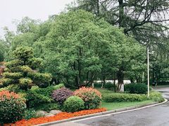 -杭州花家山庄