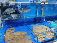 -澜小宴·胶东海鲜烟台味(时光塔店)