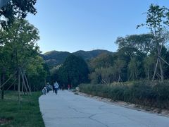 -北京西山国家森林公园