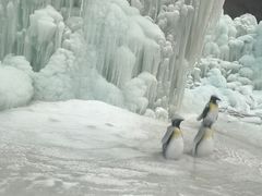 -大平台龙居瀑布旅游区