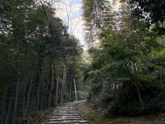 -仙霞关景区