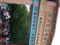 -广东茂名森林公园