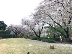 -新高轮格兰王子大酒店