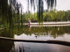 -丰台花园