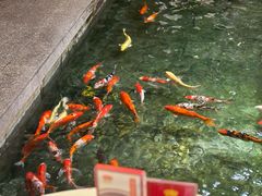 -惠食佳(滨江大公馆店)