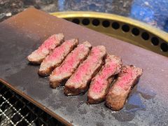 -老乾杯(深圳湾万象城店)