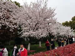 -堤角公园